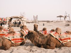 -镇北堡西部影城