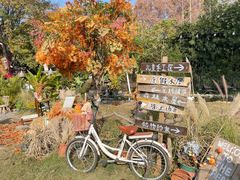 -HERRE·FARM 赫尔露营农场·团建聚会包场