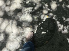 -普陀山慧济禅寺