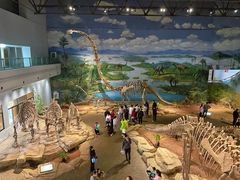 -自贡恐龙博物馆