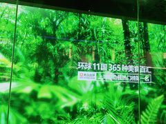 -亚马逊海鲜自助(梅溪湖步步高店)