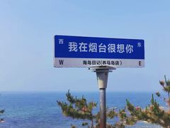 -养马岛旅游度假区