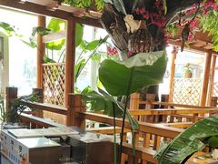 -草原塞蛮羊火锅城(港湾店)