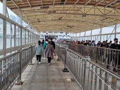 -武汉关码头(轮渡站)