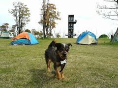 -春花秋色城市公园