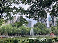 -成都动物园
