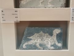 -敦煌市博物馆