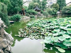 -郑和公园