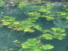 -桃花岭景区