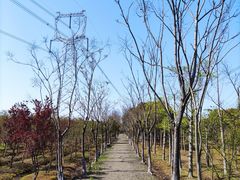 -嘉北郊野公园