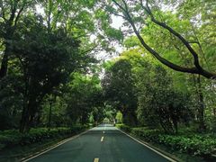 -南京东郊国宾馆