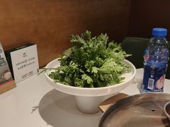 -烹然四季椰子鸡火锅(姚家园万象汇店)