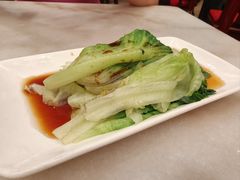 -金鼎轩(方庄天坛店)