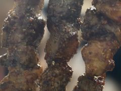 -清真·马峰烤肉(小学习北巷店)