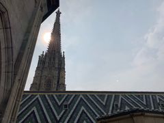 -斯蒂芬主教座堂(Stephansdom)