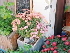 -Rabbit Cafe私房西餐甜点咖啡(栖霞路店)