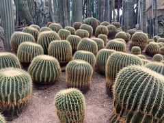 -南山植物园