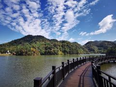 -江西阳明山国家森林公园