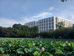 -五邑大学