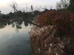 -梁鸿国家湿地公园