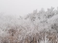 -阳台山自然风景区