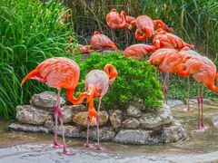 -西安秦岭野生动物园