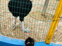 -武汉紫薇都市田园