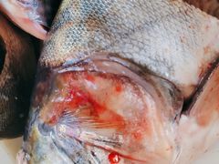 -岳各庄批发市场(西四环中路店)