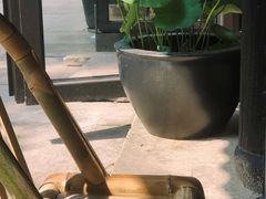 -Metal hands·铁手咖啡