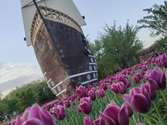 -长春公园(普阳街道)