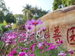 -东莞植物园