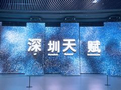 -深圳市当代艺术与城市规划馆