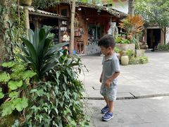 -青城甲(青城山店)