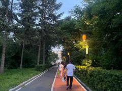 -长春市南湖公园