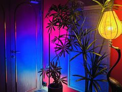 -JZ Club 爵士酒吧(上海店)