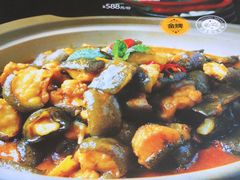 -印象鲵宴·张家界地标美食名片(溪布街店)