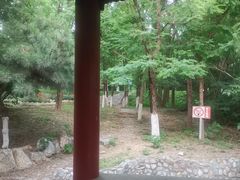 -云岗森林公园