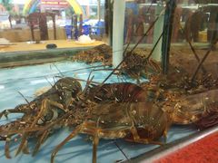 -皮记海鲜1995(寮步店)