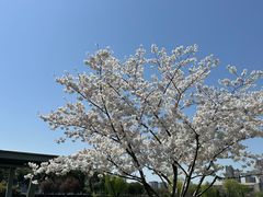 -圆融购物中心(南天成路店)