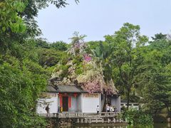 -深圳国际园林花卉博览园