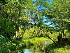 -白沙门生态公园