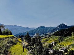 -紫鹊界梯田景区