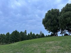 -滆湖低碳生态公园