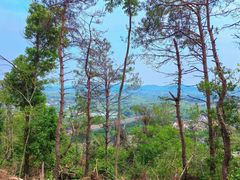 -青龙山国家森林公园
