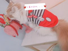 -糯米喵星人·撸猫猫舍咖啡馆(西市场嘉华店)