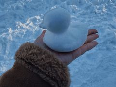 -北海道神宫