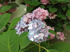 -共青国家森林公园-售票处