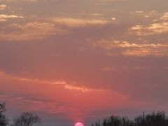 -马陆小张葡萄园农家乐