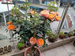 -端艾堂·SPA·艾灸(鸳鸯006店)