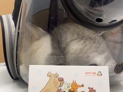 -瑞派康怡24h宠物医院·犬猫医疗中心·微创绝育(瑞景分院)